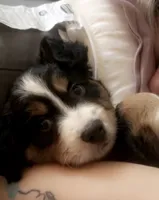 processed/dfab32d8-28a9-456a-b389-159b6b1ed761/listing/1b03b8af-d848-4ada-92b4-182d7d280f36/89bf9332-fb3a-4017-b271-b3304b934971