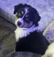 processed/dfab32d8-28a9-456a-b389-159b6b1ed761/listing/1b03b8af-d848-4ada-92b4-182d7d280f36/dcf6b3d8-3c20-4721-91d8-6ab02d9cc991