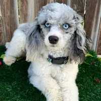 processed/dfaf2acb-ab2e-4dd5-8fcd-0cdcebeb805b/facility/2843179f-be04-43cc-a50c-e4ef8f36d555