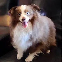 processed/dfaf2acb-ab2e-4dd5-8fcd-0cdcebeb805b/facility/dd584906-4067-429c-ab8b-e3c2cfd7a032