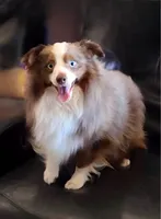 processed/dfaf2acb-ab2e-4dd5-8fcd-0cdcebeb805b/facility/dd584906-4067-429c-ab8b-e3c2cfd7a032