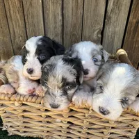 processed/dfaf2acb-ab2e-4dd5-8fcd-0cdcebeb805b/facility/f645307c-64d7-4e4a-9dae-22ec82e090ea