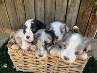 processed/dfaf2acb-ab2e-4dd5-8fcd-0cdcebeb805b/facility/f645307c-64d7-4e4a-9dae-22ec82e090ea