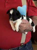 processed/dfaf31af-94c3-4746-829f-3d9dfa56d6da/listing/b0f056f8-8d09-43f3-9e3e-09a54a40c4ad/408e890f-5321-4b7f-b894-28e5561607f0