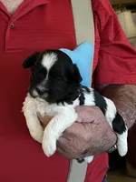 processed/dfaf31af-94c3-4746-829f-3d9dfa56d6da/listing/b0f056f8-8d09-43f3-9e3e-09a54a40c4ad/8bc23c85-02d4-4de9-bf6b-e2b8c266fbb0