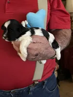 processed/dfaf31af-94c3-4746-829f-3d9dfa56d6da/listing/b0f056f8-8d09-43f3-9e3e-09a54a40c4ad/ba57067d-647e-4f83-bf99-34c2e1cfe724