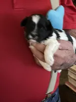 processed/dfaf31af-94c3-4746-829f-3d9dfa56d6da/listing/b0f056f8-8d09-43f3-9e3e-09a54a40c4ad/cb03f31f-6383-49e8-b1a6-fd8d8438d0b6