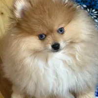 processed/dfc0dcaf-0c48-4571-98f8-e72a8e001ad2/facility/0e43988e-57b6-40a2-9325-e48b391677e8