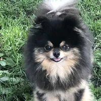 processed/dfc0dcaf-0c48-4571-98f8-e72a8e001ad2/facility/1da15cb6-d640-4eb9-90a1-f73cdc41ae3a