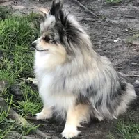 processed/dfc0dcaf-0c48-4571-98f8-e72a8e001ad2/facility/2c722a98-c36f-4609-aebd-93d3c5f6f7a2