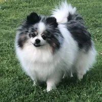 processed/dfc0dcaf-0c48-4571-98f8-e72a8e001ad2/facility/4e015b5a-ab36-41c3-87a4-dfdf1daa73bc