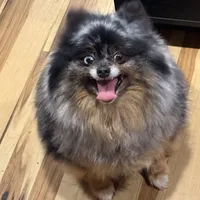 processed/dfc0dcaf-0c48-4571-98f8-e72a8e001ad2/facility/7ca95516-54a9-4415-88eb-5ae17c295e1a