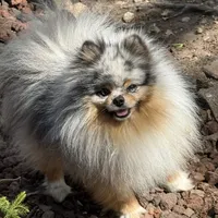 processed/dfc0dcaf-0c48-4571-98f8-e72a8e001ad2/facility/c5219640-fb72-48ce-82a1-7a29dd3e4bad