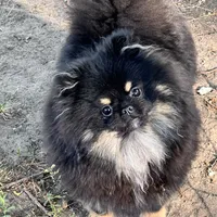 processed/dfc0dcaf-0c48-4571-98f8-e72a8e001ad2/facility/e3e715a4-b68d-4605-b663-04059336443e