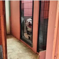 processed/dfc1b0de-5bbc-4228-b35e-3ef04106cbec/facility/19ac06ee-f95a-4cf5-a2f2-92caaf0d2cb3