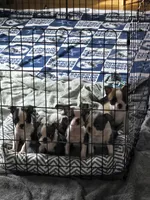 processed/dfc66904-a39b-405a-80e6-9b259e007f7f/facility/676085a7-670d-491f-b1e4-26fdbdd64ea3