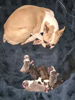 processed/dfc66904-a39b-405a-80e6-9b259e007f7f/facility/93f18727-fa8b-4e03-90d0-cbe8498bf879