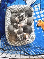 processed/dfc66904-a39b-405a-80e6-9b259e007f7f/facility/9bc19237-40e9-4e04-a063-9bd43378c4ec