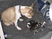 processed/dfc66904-a39b-405a-80e6-9b259e007f7f/facility/a522d3e1-ad5d-40a7-bd89-cc7105b3d983