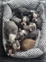 processed/dfc66904-a39b-405a-80e6-9b259e007f7f/facility/be6b2a75-e80a-445d-ac55-a7fac932e289