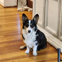 processed/dfc6b70c-2b78-4dcd-979f-eba58473acb3/facility/1a66e269-a616-4daa-b32c-27d8304fe01e