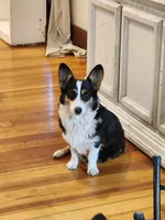 processed/dfc6b70c-2b78-4dcd-979f-eba58473acb3/facility/1a66e269-a616-4daa-b32c-27d8304fe01e