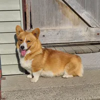 processed/dfc6b70c-2b78-4dcd-979f-eba58473acb3/facility/5efe3795-482a-42d4-97cc-996e02e937e6