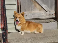 processed/dfc6b70c-2b78-4dcd-979f-eba58473acb3/facility/5efe3795-482a-42d4-97cc-996e02e937e6