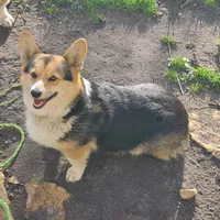 processed/dfc6b70c-2b78-4dcd-979f-eba58473acb3/facility/62e4f715-c88c-4b84-b310-75b0904f8015