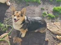 processed/dfc6b70c-2b78-4dcd-979f-eba58473acb3/facility/62e4f715-c88c-4b84-b310-75b0904f8015