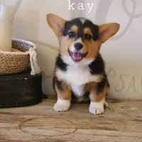 processed/dfc6b70c-2b78-4dcd-979f-eba58473acb3/facility/a2dd53c3-e633-4646-89f7-2774d0f710cb