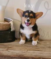 processed/dfc6b70c-2b78-4dcd-979f-eba58473acb3/facility/a2dd53c3-e633-4646-89f7-2774d0f710cb