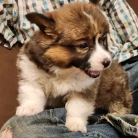 processed/dfc6b70c-2b78-4dcd-979f-eba58473acb3/facility/a68793d8-7fef-4696-81f4-bc7173386747