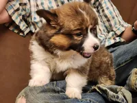 processed/dfc6b70c-2b78-4dcd-979f-eba58473acb3/facility/a68793d8-7fef-4696-81f4-bc7173386747