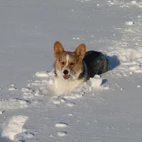 processed/dfc6b70c-2b78-4dcd-979f-eba58473acb3/facility/e5a124a4-72db-4fca-9c8e-0f0e6bae9158