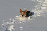 processed/dfc6b70c-2b78-4dcd-979f-eba58473acb3/facility/e5a124a4-72db-4fca-9c8e-0f0e6bae9158