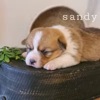 processed/dfc6b70c-2b78-4dcd-979f-eba58473acb3/facility/fdf524f0-7dd9-4bb5-a692-fad90af1b988