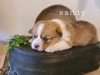 processed/dfc6b70c-2b78-4dcd-979f-eba58473acb3/facility/fdf524f0-7dd9-4bb5-a692-fad90af1b988