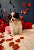 processed/dfc7947b-dda9-46d5-b337-beb3777e5350/listing/7a689659-8112-43c0-bc9b-046183f25c22/6f656e3a-70a5-46d6-8495-52c620a361e2