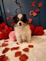 processed/dfc7947b-dda9-46d5-b337-beb3777e5350/listing/7a689659-8112-43c0-bc9b-046183f25c22/e89a2d3a-59f3-4445-8124-a35fdac0e987