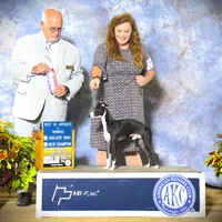 processed/dfc82bd2-7b1b-4638-8109-0f1af8bd659e/facility/7d04bddd-f542-4440-9d39-d180c7c8f777