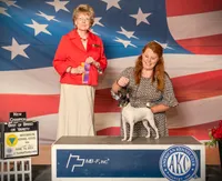 processed/dfc82bd2-7b1b-4638-8109-0f1af8bd659e/facility/be2b5301-a927-471d-8254-edc72cd351c9