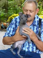 AKC BABY GIRL, a female Xoloitzcuintli for sale in Clinton, SC – 2 of 10