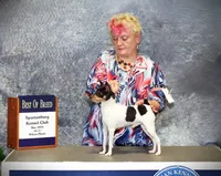 AKC Alton CH sired ready now, a male Toy Fox Terrier for sale in Clinton, SC – 8 of 9