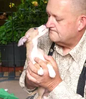 AKC Monaco GCH sired, a male Italian Greyhound for sale in Clinton, SC – 3 of 10