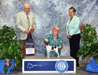 AKC Chester CH sired ready now, a male Toy Fox Terrier for sale in Clinton, SC – 9 of 10