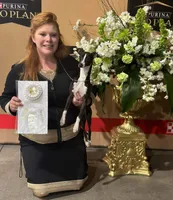 AKC Harley GCH sired ready now, a male Italian Greyhound for sale in Clinton, SC – Photo 9 of 9