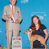 AKC Pixie CGH sired ready now, a female Italian Greyhound for sale in Clinton, SC – Photo 7 of 9