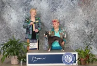 AKC Hugs GCH sired, a male Italian Greyhound for sale in Clinton, SC – 6 of 10