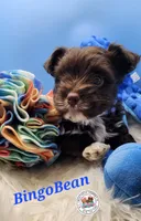 processed/dfc94bdc-ce46-424d-9c7b-272685de8937/listing/5fa29a6d-c020-4792-9669-f695cb492e3d/0d1b81f5-3c99-4833-a107-2903c5935e01